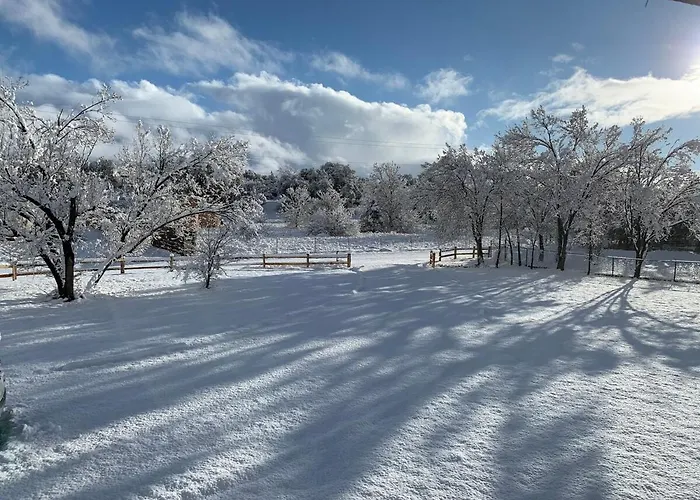 Shanti Ranchette - Peaceful Yet Close To Town Holiday home